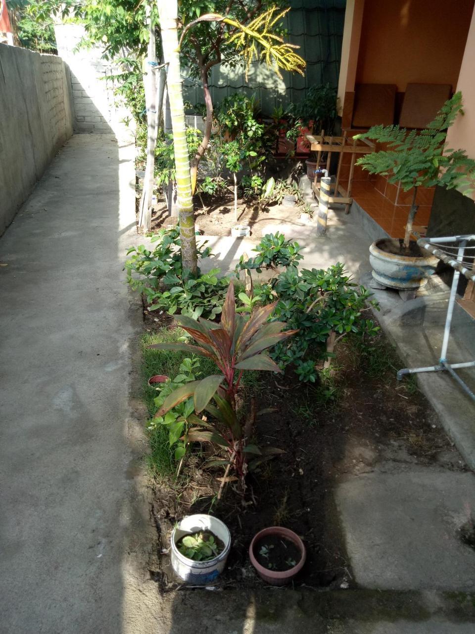 Aladdin Homestay Gili Air Exteriör bild